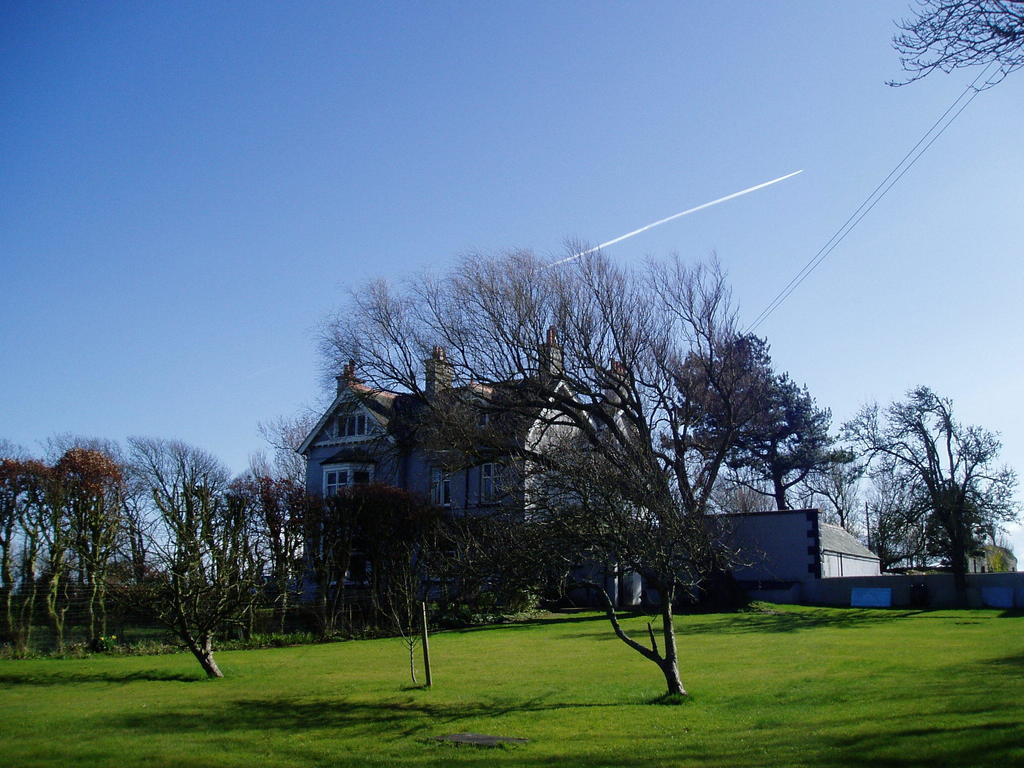 Foxcroft Bed & Breakfast Міллом Екстер'єр фото